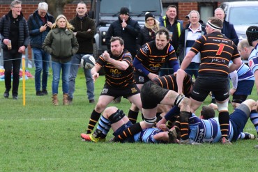 Harrogate Pythons RUFC