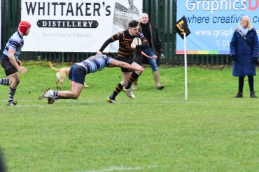 Harrogate Pythons RUFC