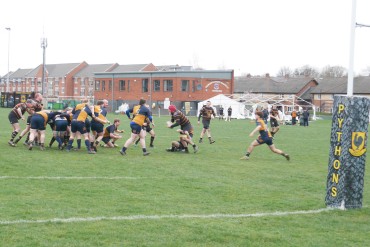 Harrogate Pythons RUFC