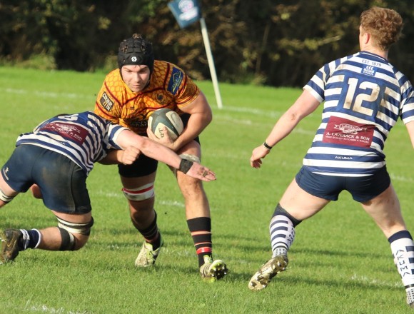 Pythons take Pocklington close