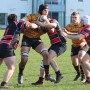 Pythons secure Y1 place with try bonus point against Hullensians