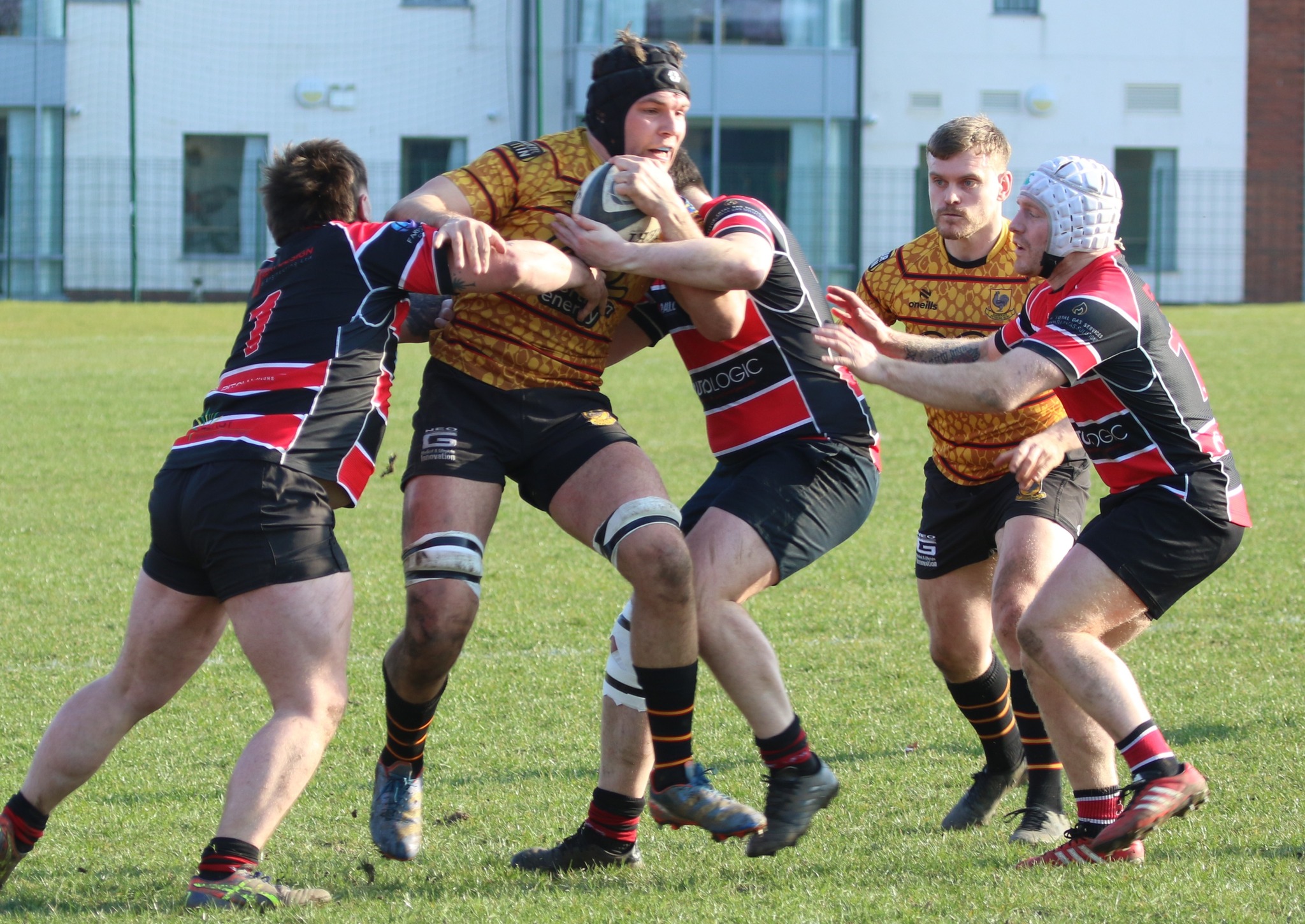 Pythons secure Y1 place with try bonus point against Hullensians